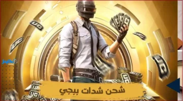 12000 شدة مجانية.. احصل على شحن شدات ببجي UC مع بدلة سونيك الجديدة الخرافية